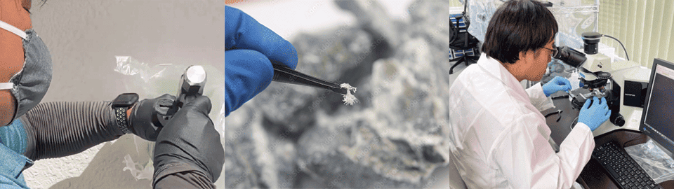 採取・分析プラン